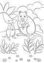 Coloring pages. Mother quokka with her little cute baby stands