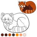 Coloring page: red panda. Little cute red panda Royalty Free Stock Photo