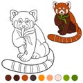 Coloring page: red panda. Little cute red panda eat leaves Royalty Free Stock Photo