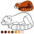 Coloring page: red panda. Little cute red panda Royalty Free Stock Photo