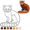 Coloring page: red panda. Little cute red panda smiles Royalty Free Stock Photo
