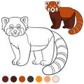 Coloring page: red panda. Little cute red panda smiles Royalty Free Stock Photo