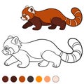 Coloring page: red panda. Little cute red panda walks Royalty Free Stock Photo