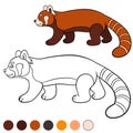 Coloring page: red panda. Little cute red panda walks Royalty Free Stock Photo