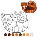 Coloring page: red panda. Mother red panda with her baby Royalty Free Stock Photo