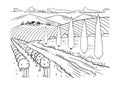 Coloring page. Rural landscape. Grape fields. Cypress trees. Hand drawn sketch. Vintage style. Black and white vector illustration Royalty Free Stock Photo