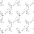 Coloring page seamless pattern with Egyptian birds