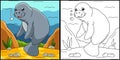 Manatee Coloring Page Colored Illustration