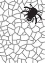 Coloring page with spider and web