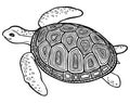 Coloring page turtle with decor