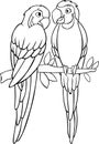 Coloring page. Two cute yellow macaw sits and smiles. They are in love