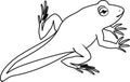 Coloring page. Young frog with tail