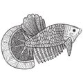 Coloring page with zentangle fish