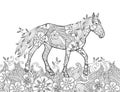 Coloring page in zentangle inspired doodle style. Running horse on flowering meadow.