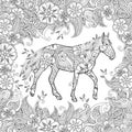 Coloring page in zentangle inspired style. Running horse on flowering meadow.