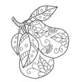 Coloring pages for adults.Decorative hand drawn doodle engraving pear vector sketchy pattern