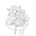 Coloring pages for adults, hand-drawn waterlily flower bouquet of lotus vector sketch, beautiful botanical garden elements