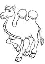 Coloring pages. Animals. Cute camel. Royalty Free Stock Photo