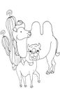 Coloring pages. Animals. Cute camel stands and smiles Royalty Free Stock Photo