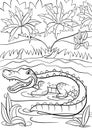 Coloring pages. Animals. Little cute alligator sits in the lake.