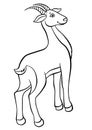 Coloring pages. Animals. Little cute antelope Royalty Free Stock Photo