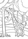 Coloring pages. Animals. Little cute giraffe.
