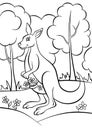 Coloring pages. Animals. Little cute kangaroo.