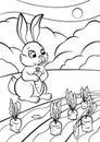 Coloring pages. Animals. Little cute rabbit.