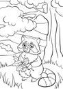 Coloring pages. Animals. Little cute raccoon.