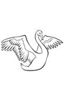 Coloring pages. Birds. Cute beautiful swan.