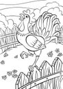 Coloring pages. Birds. Cute rooster.