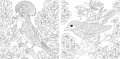 Coloring pages with birds in floral garden