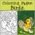 Coloring Pages: Birds. Little cute duckling in the egg. Royalty Free Stock Photo