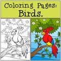 Coloring Pages: Birds. Little cute parrot. Royalty Free Stock Photo