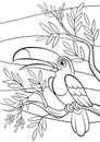 Coloring pages. Birds. Little cute toucan.