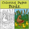 Coloring Pages: Birds. Mother duck with her little cute duckling. Royalty Free Stock Photo