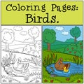 Coloring Pages: Birds. Mother duck swims with her little cute duckling.