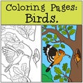 Coloring Pages: Birds. Two cute beautiful hoopoes smile Royalty Free Stock Photo