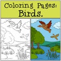 Coloring Pages: Birds. Two little cute ducks.