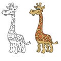 Giraffe Royalty Free Stock Photo