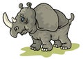 Rhinoceros