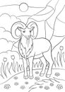 Coloring pages. Cute beautiful urial with great horns