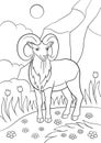 Coloring pages. Cute beautiful urial with great horns