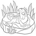 Coloring pages. Cute iguana sits on the rock.