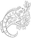 Coloring pages. Cute iguana sits on the tree branch. Royalty Free Stock Photo