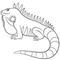 Coloring pages. Cute iguana smiles. Royalty Free Stock Photo