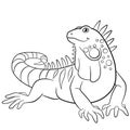 Coloring pages. Cute iguana smiles.