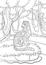 Coloring pages. Cute spotted jaguar in the forest.