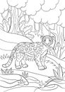 Coloring pages. Cute spotted jaguar in the forest.