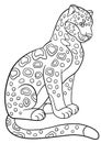 Coloring pages. Cute spotted jaguar smiles.